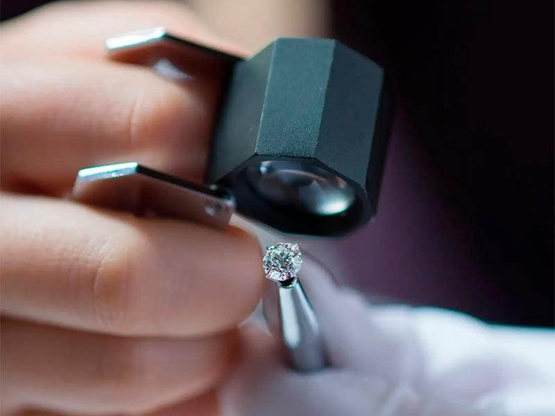 Private Consultations & Sourcing